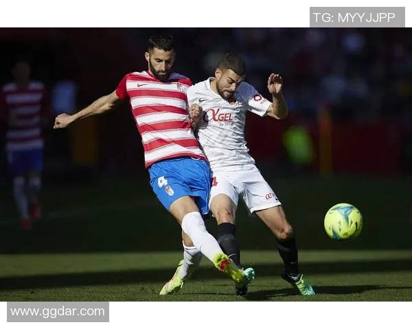 中央海岸水队与波斯光荣队激战在即谁将赢得这场精彩对决