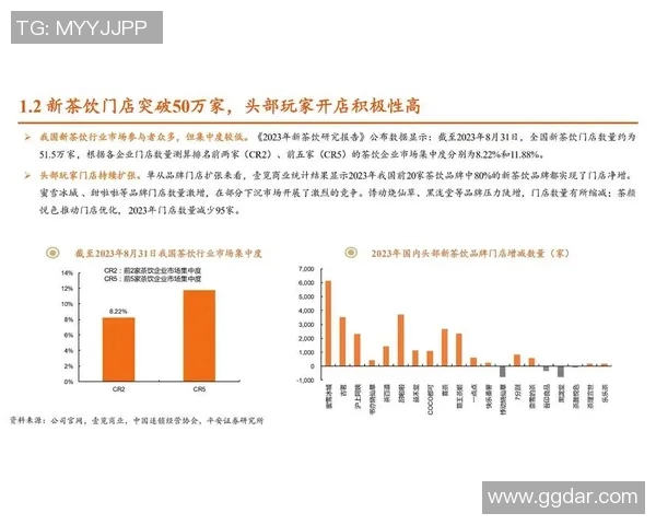 代怀博的崛起与挑战：探讨新兴代怀孕行业的未来发展趋势与机遇